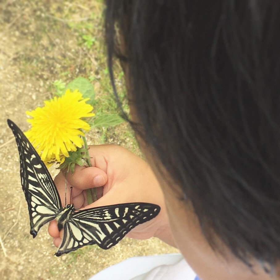 虫たちが教えてくれた 〜信じて見守るということ〜