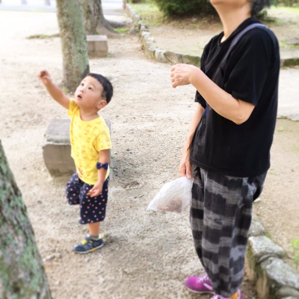 孫と子ども