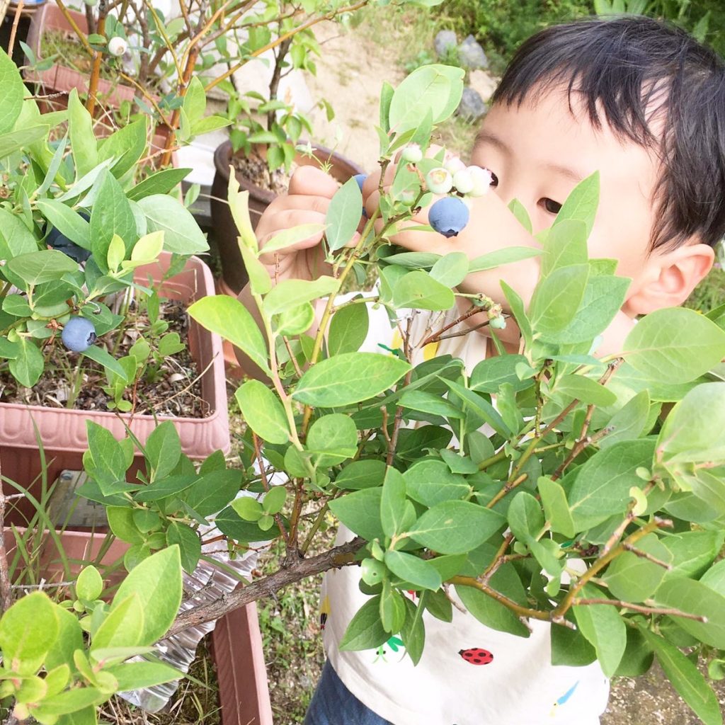 家庭菜園をする子ども