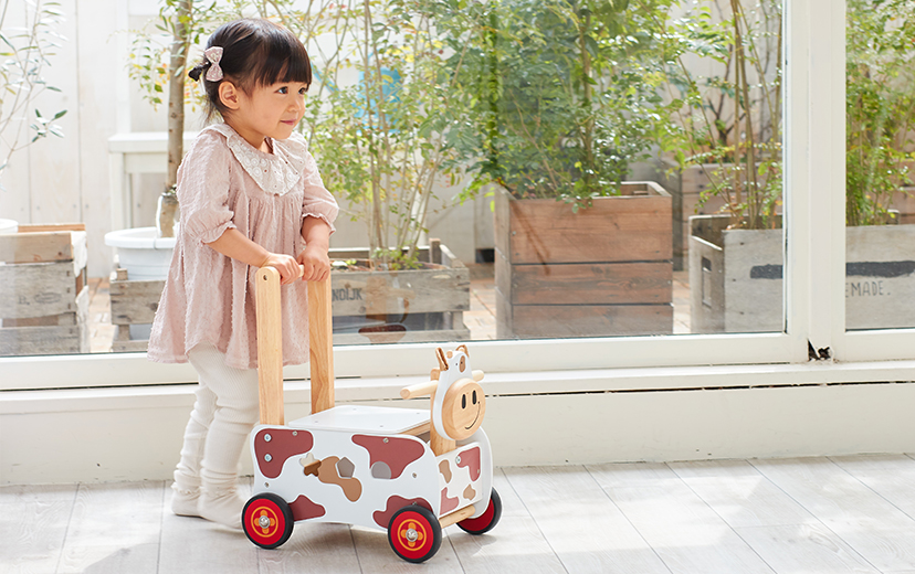 1歳誕生日に選ばれる型はめパズル付き手押し車