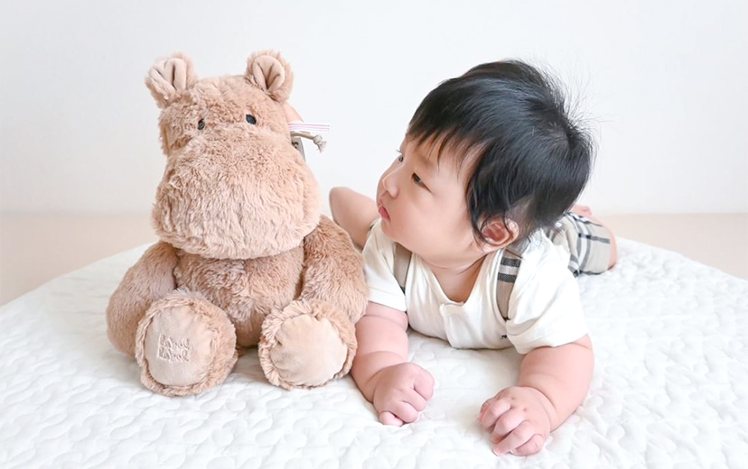 ファーストトイや出産祝い・1歳誕生日に最適なかわいいぬいぐるみ