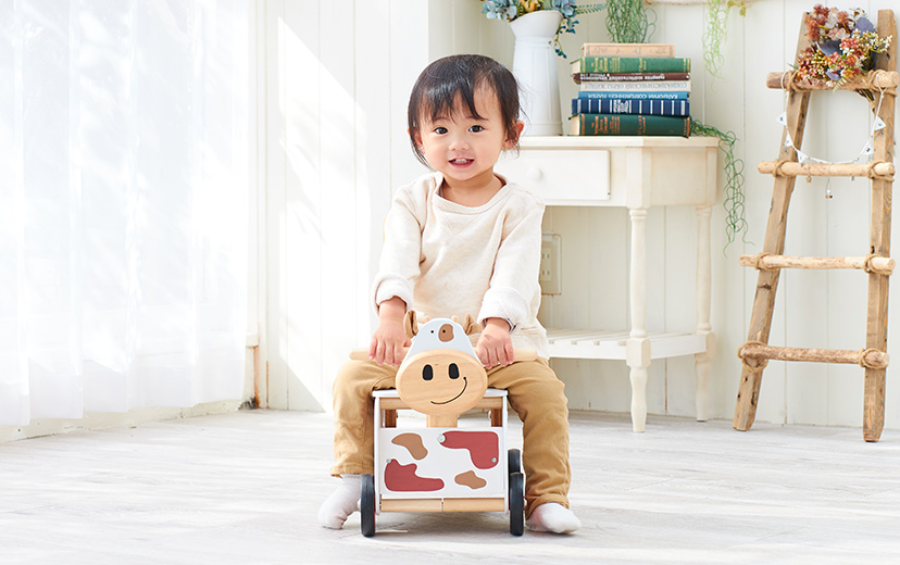 1歳誕生日に選ばれる型はめパズル付き手押し車