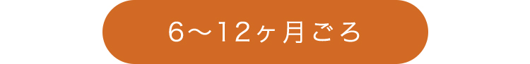 0~3歳成長マップ