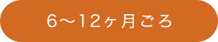 6～12ヶ月ごろ