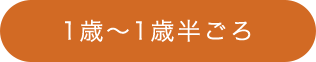 6～12ヶ月ごろ