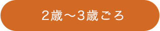 2歳～3歳ごろ