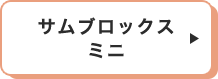 サムブロックスミニ