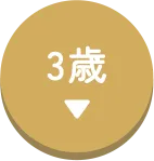 3歳