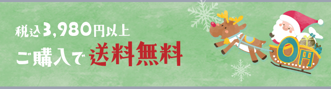 税込3,980円以上ご購入で送料無料　沖縄は税込9,800円以上で送料無料