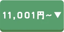 11,001円～