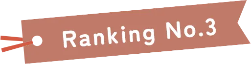Ranking No.3